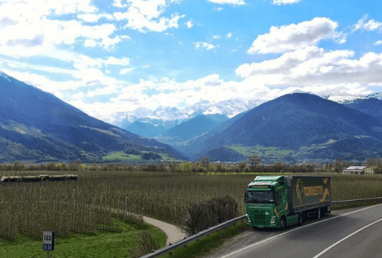 Internacional Terrestre Torrestir