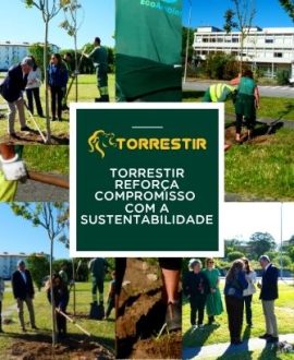 Torrestir reforça compromisso com a sustentabilidade