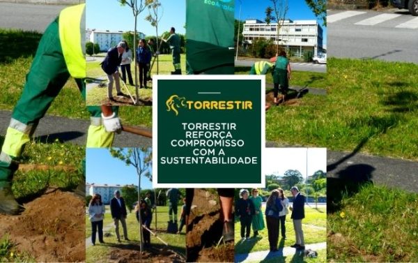 Torrestir reforça compromisso com a sustentabilidade