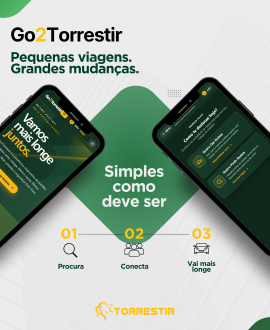 Go2Torrestir