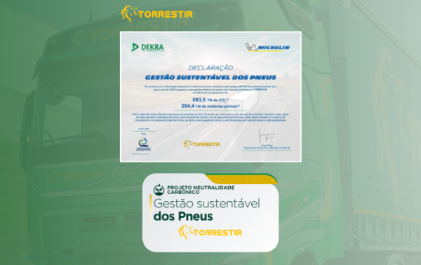 gestão sustentável dos pneus em 2026